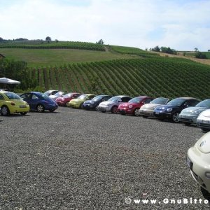 09-07-2006 - Piacenza 2006 un anno dopo...