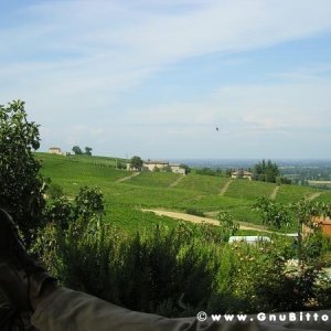 09-07-2006 - Piacenza 2006 un anno dopo...