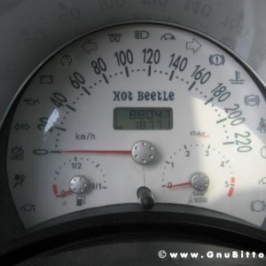 09-07-2006 - Piacenza 2006 un anno dopo...