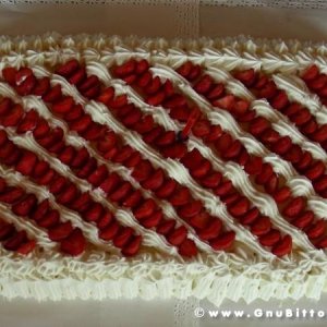 09-07-2006 - Piacenza 2006 un anno dopo...