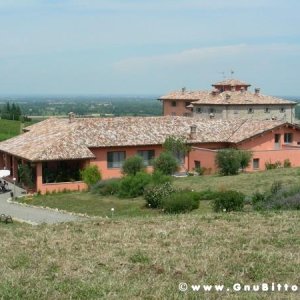 09-07-2006 - Piacenza 2006 un anno dopo...