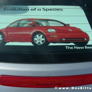 09-07-2006 - Piacenza 2006 un anno dopo...