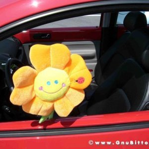 09-07-2006 - Piacenza 2006 un anno dopo...