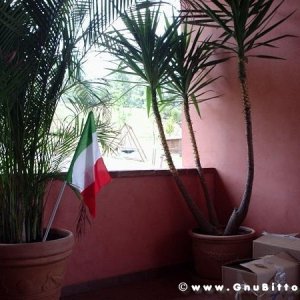 09-07-2006 - Piacenza 2006 un anno dopo...