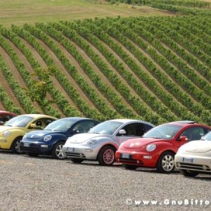 09-07-2006 - Piacenza 2006 un anno dopo...