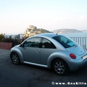 Le vacanze dei Gnubitters!