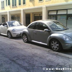 Le vacanze dei Gnubitters!