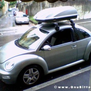 Le vacanze dei Gnubitters!