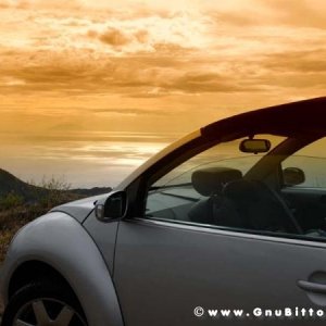 Le vacanze dei Gnubitters!