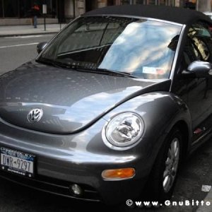 Le vacanze dei Gnubitters!