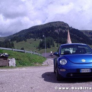 Le vacanze dei Gnubitters!