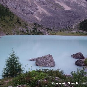 Le vacanze dei Gnubitters!