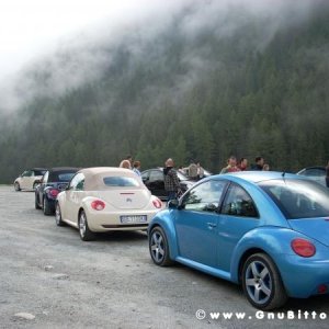 Le vacanze dei Gnubitters!