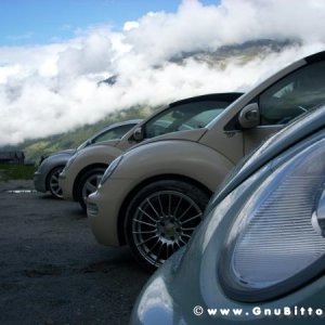 Le vacanze dei Gnubitters!