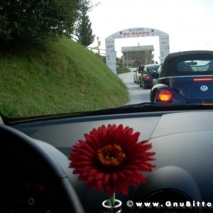 Le vacanze dei Gnubitters!