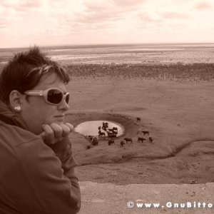 Le vacanze dei Gnubitters!