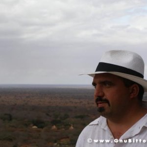 Le vacanze dei Gnubitters!