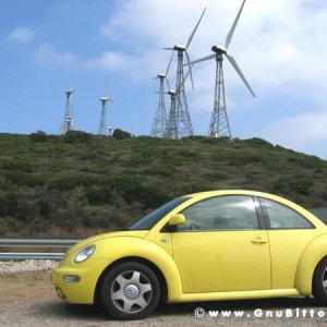 Le vacanze dei Gnubitters!