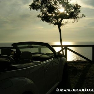 Le vacanze dei Gnubitters!