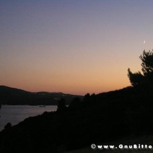 Le vacanze dei Gnubitters!