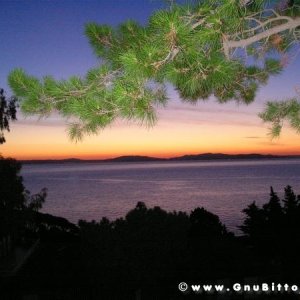 Le vacanze dei Gnubitters!