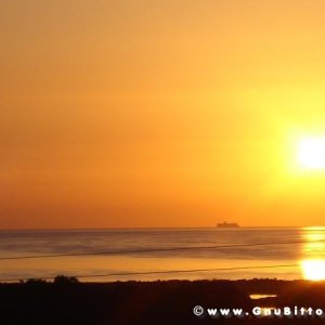 Le vacanze dei Gnubitters!