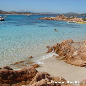 Le vacanze dei Gnubitters!