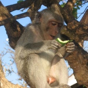 Le vacanze dei Gnubitters!