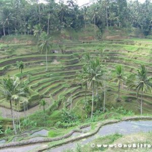 Le vacanze dei Gnubitters!