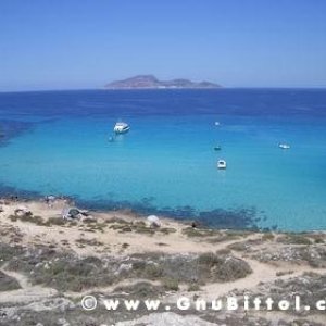 Le vacanze dei Gnubitters!