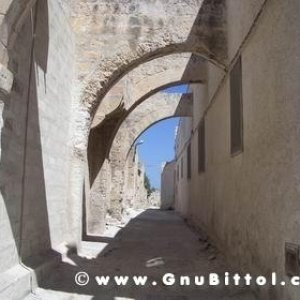 Le vacanze dei Gnubitters!