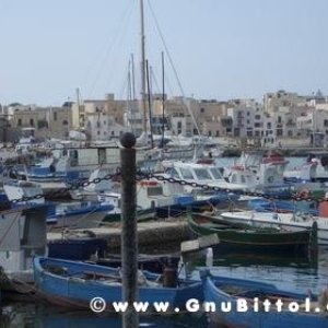 Le vacanze dei Gnubitters!