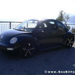 Le vacanze dei niubitters!