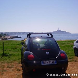 Le vacanze dei Gnubitters!