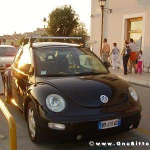 Le vacanze dei Gnubitters!