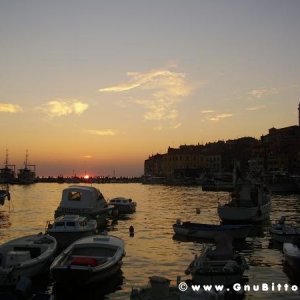 Le vacanze dei Gnubitters!