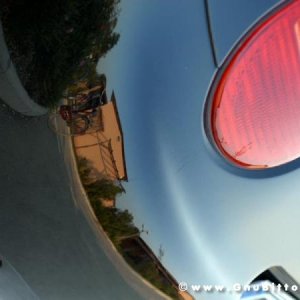 21/22-04-2007 - Laguna Gnu 2007