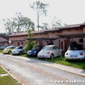 21/22-04-2007 - Laguna Gnu 2007