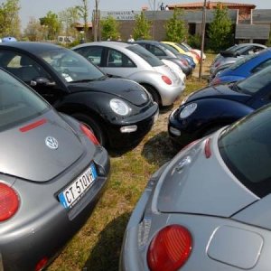 21/22-04-2007 - Laguna Gnu 2007