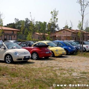 21/22-04-2007 - Laguna Gnu 2007