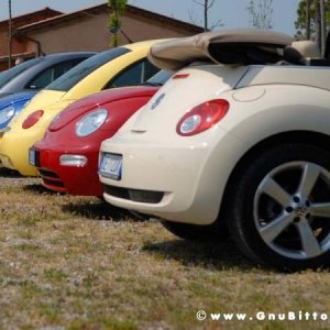 21/22-04-2007 - Laguna Gnu 2007