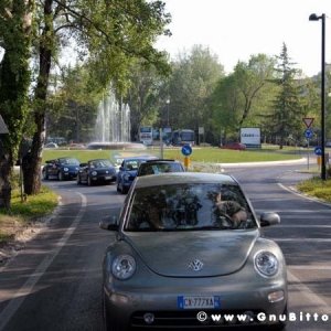 21/22-04-2007 - Laguna Gnu 2007