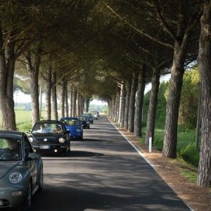 21/22-04-2007 - Laguna Gnu 2007