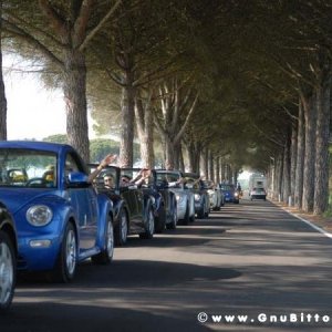 21/22-04-2007 - Laguna Gnu 2007