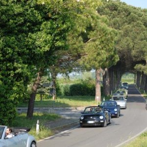 21/22-04-2007 - Laguna Gnu 2007