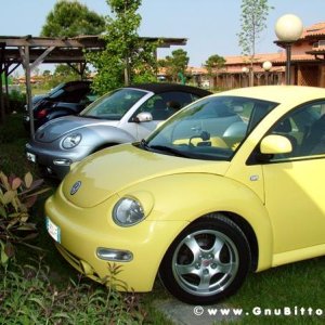 21/22-04-2007 - Laguna Gnu 2007