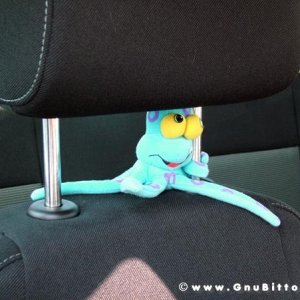 21/22-04-2007 - Laguna Gnu 2007