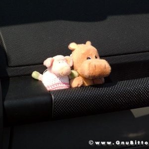 21/22-04-2007 - Laguna Gnu 2007