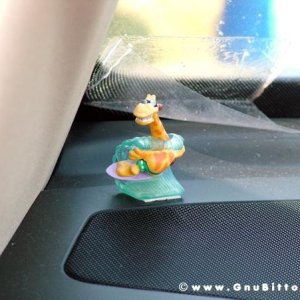 21/22-04-2007 - Laguna Gnu 2007