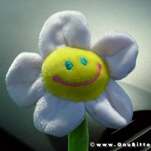 21/22-04-2007 - Laguna Gnu 2007